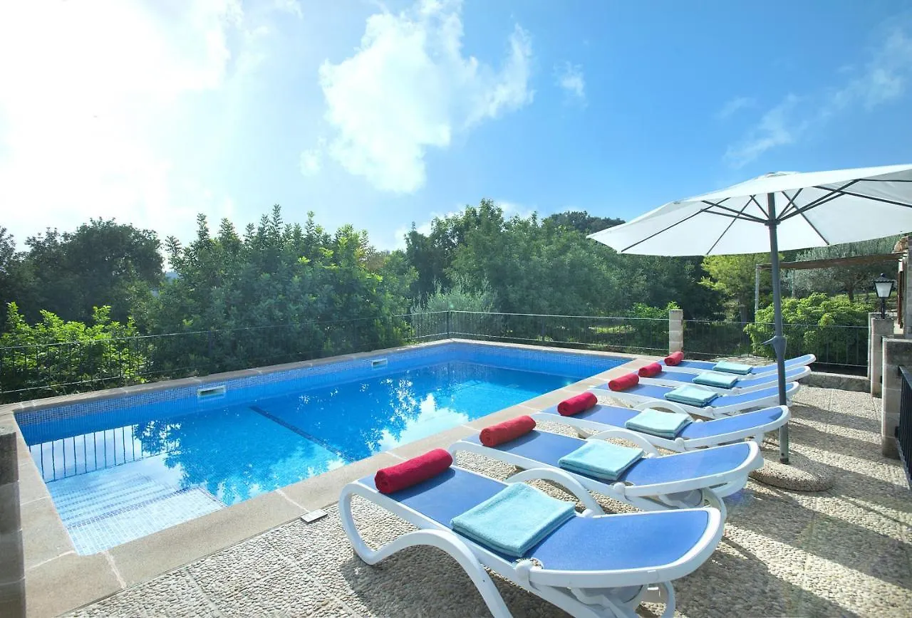 Owl Booking Villa Sedes - Dive Into Nature Campanet