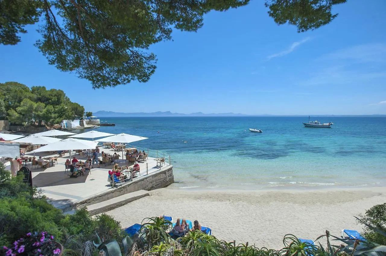 Owl Booking Villa Sedes - Dive Into Nature Campanet