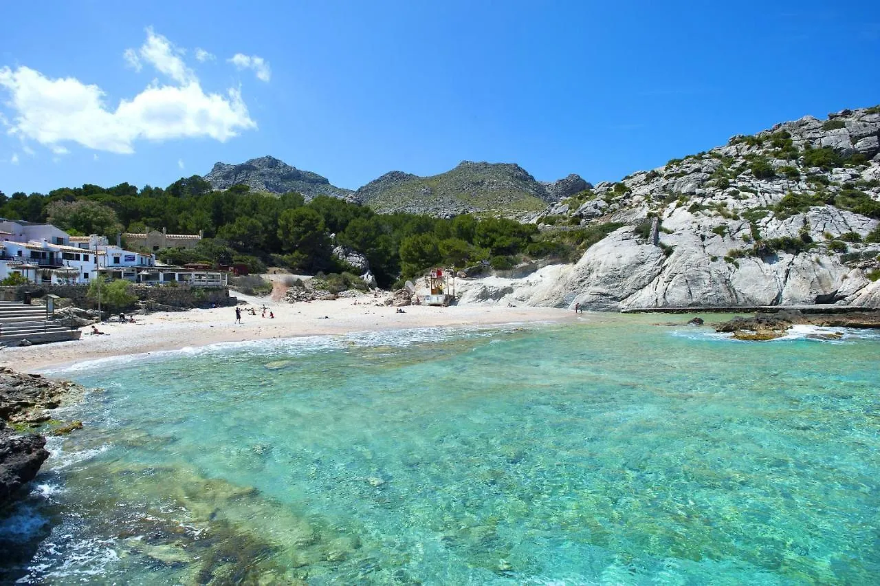 Owl Booking Villa Sedes - Dive Into Nature Campanet