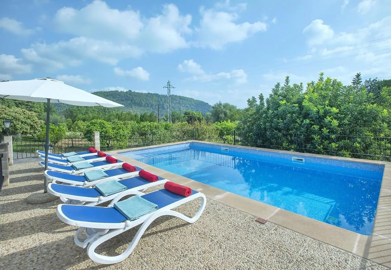 Owl Booking Villa Sedes - Dive Into Nature Campanet